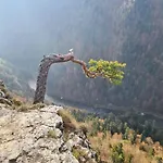 Pieninska Dzungla