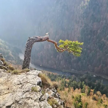 Pieninska Dzungla