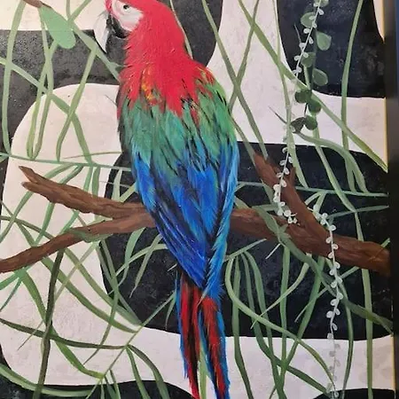 Pieninska Dzungla Lejlighed *